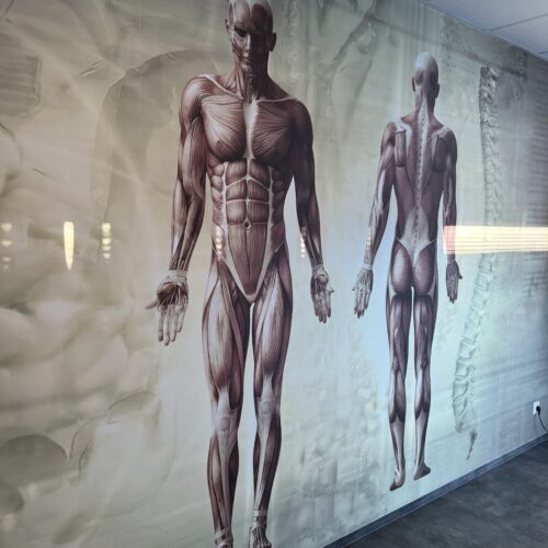 26.02.2026 r. uroczyste otwarcie nowoczesnego Centrum Symulacji Medycznej