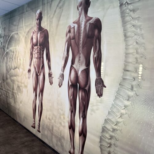 26.02.2026 r. uroczyste otwarcie nowoczesnego Centrum Symulacji Medycznej