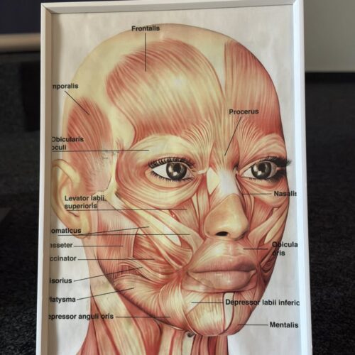 07.03.2026-Konferencja „Kod kobiecości -Dobrostan szyty na miarę”